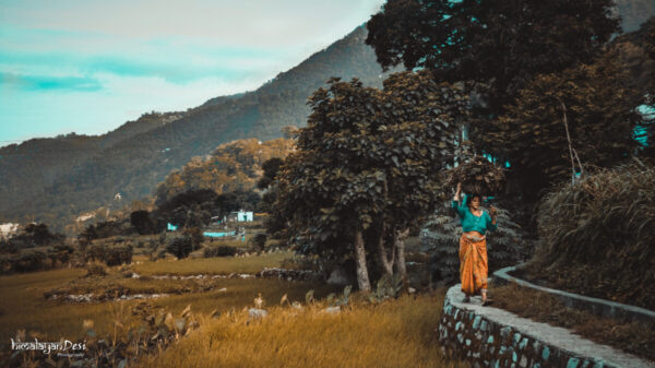 Himalaya Resort Chopta