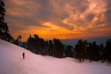 Chopta Tour package
