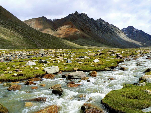 Askot wildlife sanctury in uttarakhand