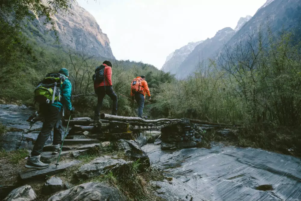 Govind wild life sanctuary in uttarakhand