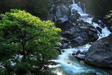 kedarnath wildlife sanctuary in Uttarakhand
