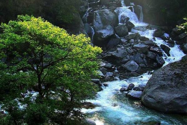 kedarnath wildlife sanctuary in Uttarakhand