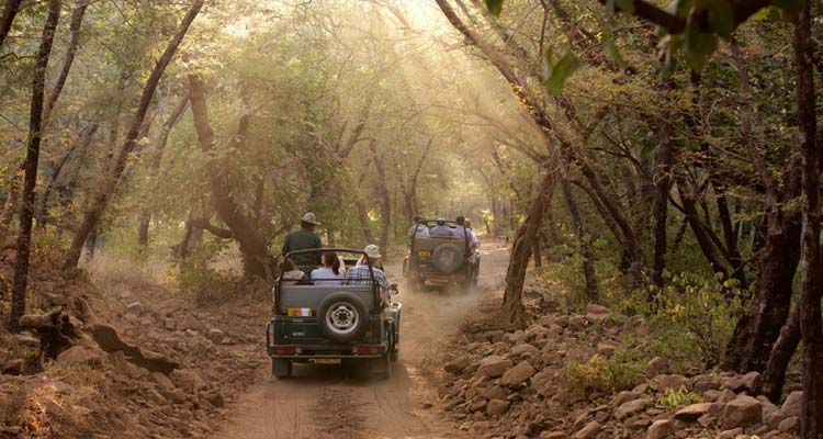 sananadi wildlife sanctuary in uttarakhand